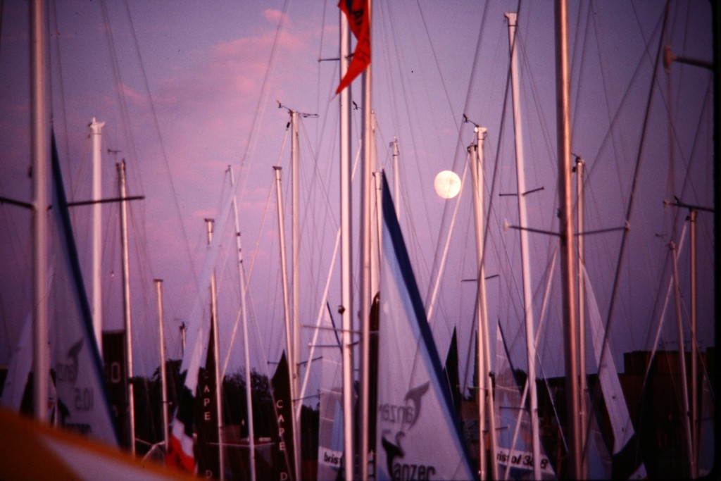 Photo copyright by Meredith Rutter